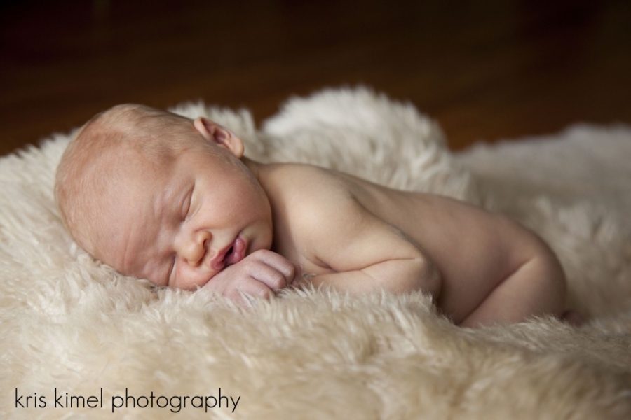 baby portrait plan, newborn portraits Tallahassee