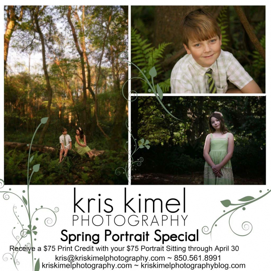 spring portrait special, kris kimel photography, photography special tallahassee, tallahassee photographer, portrait special tallahassee