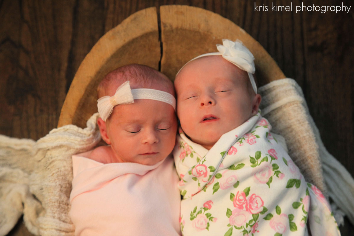 Newborn portrait of twin baby girls