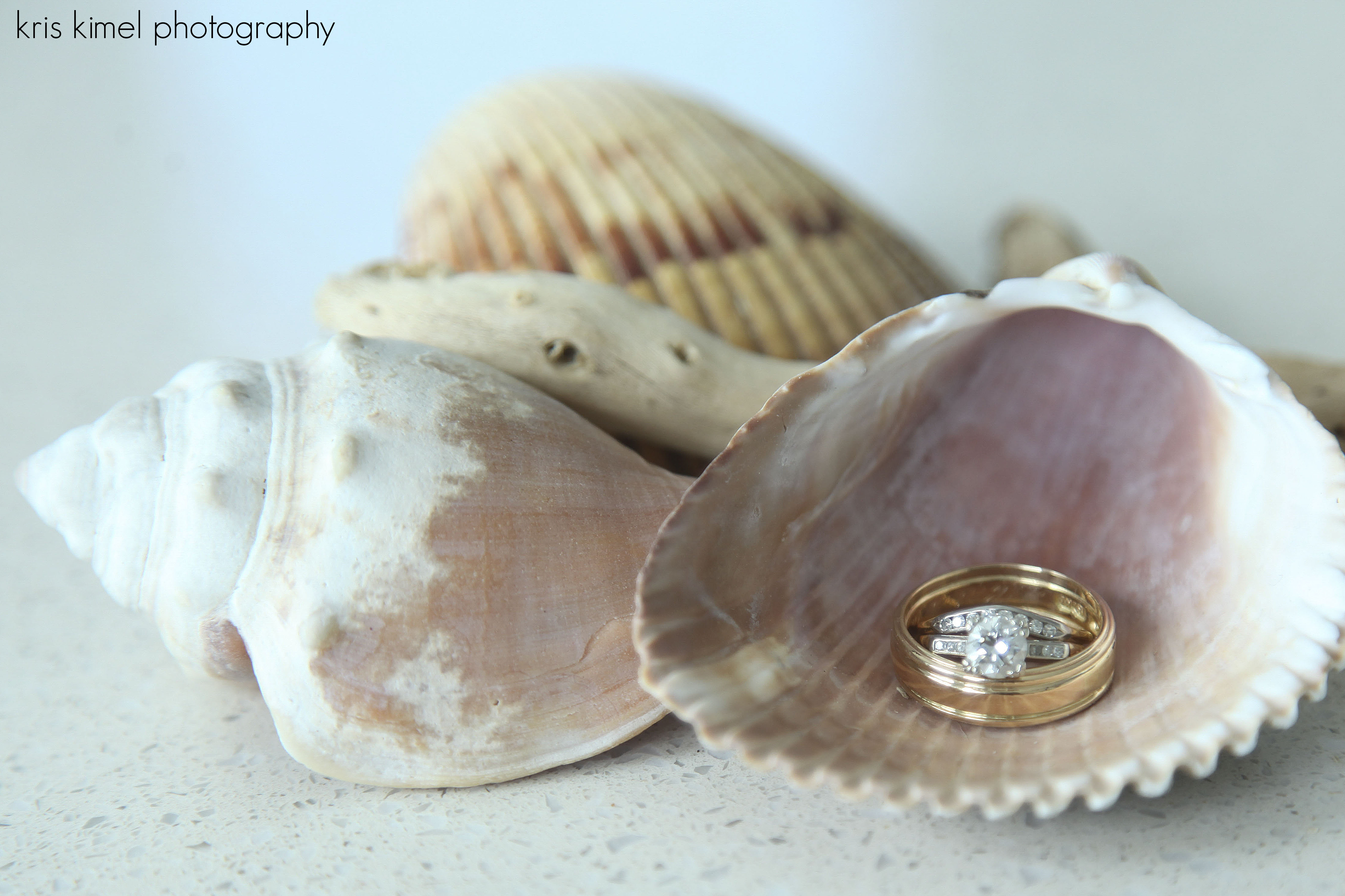 photo of wedding rings and shells